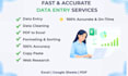 do professional data entry and data cleaning
