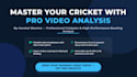 provide expert online cricket coaching and video analysis of your videos