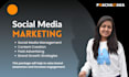 manage social media for your business