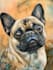 draw your cute pet into cartoon portrait style