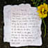 write anything in beautiful neat handwriting