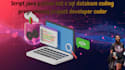 script java python bot c sql database coding programming project developer coder