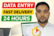 be your professional virtual assistant for data entry