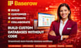 build baserow database, automation, dashboard and client portal
