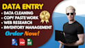 do professional data entry and excel data collection