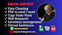 do professional data entry and excel data collection