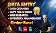 do professional data entry and excel data collection