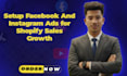 setup facebook ads campaign for shopify sales growth
