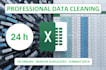 clean, fix, format and organize your messy excel data