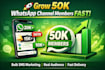 boost whatsapp followers and grow 50k whatsapp channel members with bulk SMS