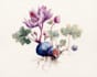 create botanical illustration art