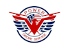 design a professional drone logo for your business