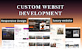 do modern custom website design or redesign, website development in 24 hours
