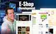 build your custom ecommerce website or shopify online store