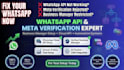 do meta business verification, setup whatsapp API, business manager, automations
