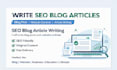 write SEO blog articles and website