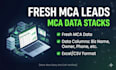 provide fresh mca leads and mca stuck leads data
