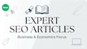 write SEO blog articles for your website