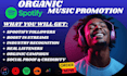 increase spotify followers, spotify stream, monthly listeners, spotify promotion