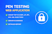 perform penetration testing on your website