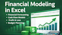 build professional financial models in excel