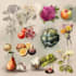 draw realistic plants, vegetables, fruits