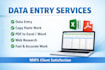 do professional data entry, PDF to excel and web research
