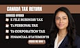 prepare and e file your us tax return and canada tax return
