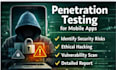 do penetration testing, vulnerability, security test on your website, mobile app