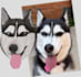 do professional pets embroidery digitizing within 1 hour