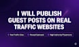 publish guest posts on real traffic websites