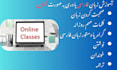 teach you farsi and persian language easily, online