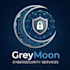 perform a professional web or external penetration test