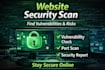 perform a basic website security vulnerability scan