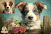 draw pet into cartoon art disney