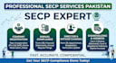 provide professional secp compliance, annual filing services