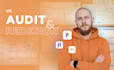 do a professional UI UX audit and website redesign in figma