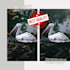 removal unwanted objects from your photos professionally