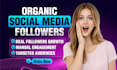 do super fast increase social media followers