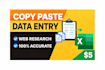 do professional data entry, copy paste, web research, and excel data entry