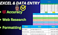 do expert excel data entry, data cleaning, and web research