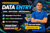 do data entry, copy paste, web research and excel data entry