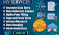 be your reliable data entry assistant for CRM, excel, shopify and web research