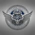 design a unique and professional pilot logo