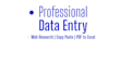 do professional deta entry