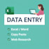 data entry, copy paste, and excel data entry