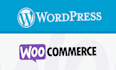 fix woocommerce checkout error, payment issue or store bug fast