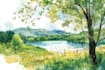 paint landscapes in watercolor