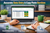 data entry, excel, copy paste  virtual assistant service