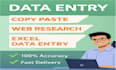 do data entry, copy paste, web research and excel data entry